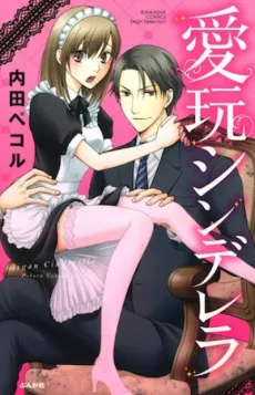 Aigan Cinderella cover