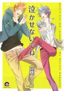 Nakasenaide ne cover