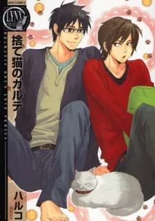 Stray Cat cover