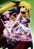 Magical Girl Lyrical Nanoha cover