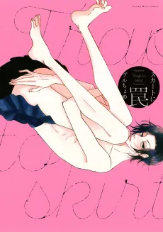 Trap to Skirt cover