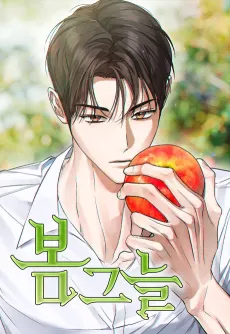 In the Shadow of the Spring cover