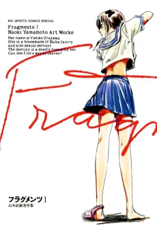 Fragments cover