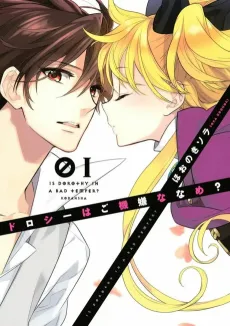 Dorothy wa Gokigen Naname? cover