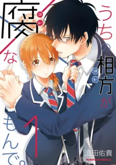 Uchi no Kore ga Kore na mon de. cover