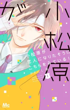 Komatsubara ga Koibito ni Naritasou ni Kochira wo Miteiru! cover