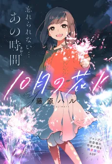 Fireworks in October cover