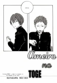 Ameiro no Toge cover