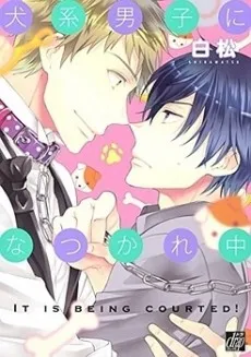 A Loyal Guy's Attached to Me cover