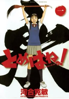 Tomehane! cover