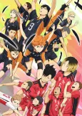 Haikyu!! the Movie: The End and the Beginning cover
