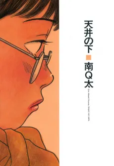 Below the Ceiling cover