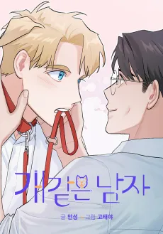 Man's Best Boyfriend cover