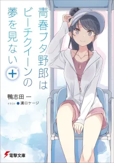 Rascal Does Not Dream of a Beach Queen + cover