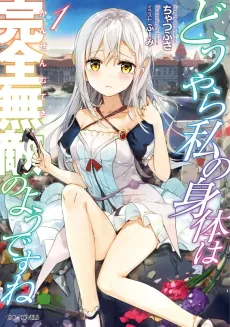 The Invincible Little Lady cover