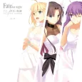 Fate/stay night: 15-nen no Kiseki TYPE-MOON Ten cover