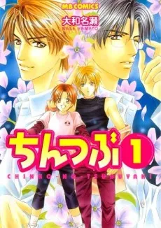 Chintsubu cover