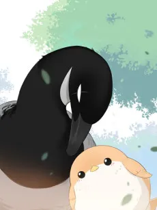 Nanfang De Niao He Beifang De Niao cover