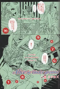 Alice in Underground cover