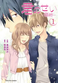 Kimi no Sei: Kizuato cover