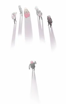 Shadow cover