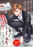 Ojou-sama, Yankee Shitsuji de Gozaimasu cover