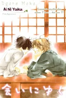Ai ni Yuku cover
