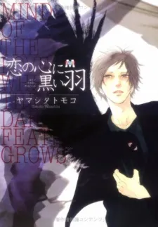 Black-Winged Love cover
