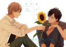Kimi wa Natsu no Naka cover
