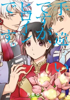 Techigai desu ga, Heroine desu. cover