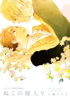 Ninth Life Love cover
