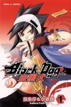 Black Dog cover