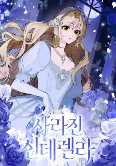 Cinderella Disappeared cover
