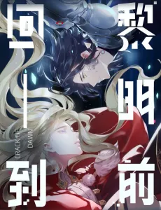 The Other Side of the Mirror cover