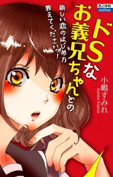 Do-S na Onii-chan to Tanoshii Koi no Hajimekata Oshite Kudasai! cover