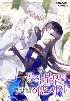 I Will Divorce the Duke cover