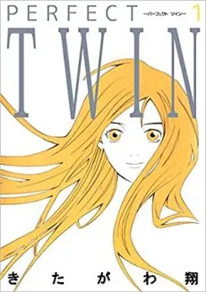 PERFECT TWIN cover