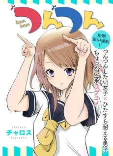 Tsuntsun cover