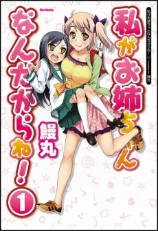 Watashi ga Oneechan Nan Dakara ne! cover