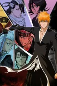 Bleach cover