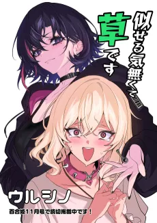 Niseru Ki Nakute Kusadesu cover