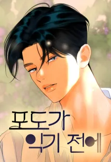 Before the Grapes Ripen cover
