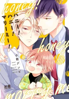 Honey! Honey! Marry Me! cover
