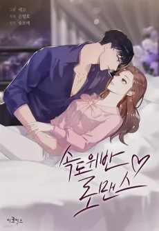 A Misogamist's Romance cover