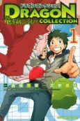 Dragon Collection: Ryuu wo Suberumono cover