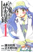 A Certain Magical Index cover