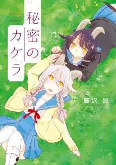 Himitsu no Kakera cover