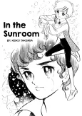 Sunroom nite cover