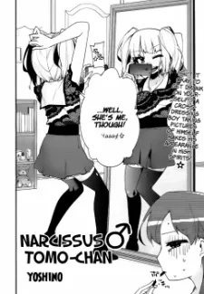 Narcissus Tomo-chan cover