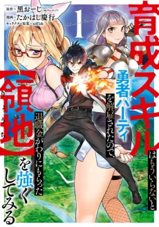 From Leveling Up the Hero to Leveling Up a Nation cover